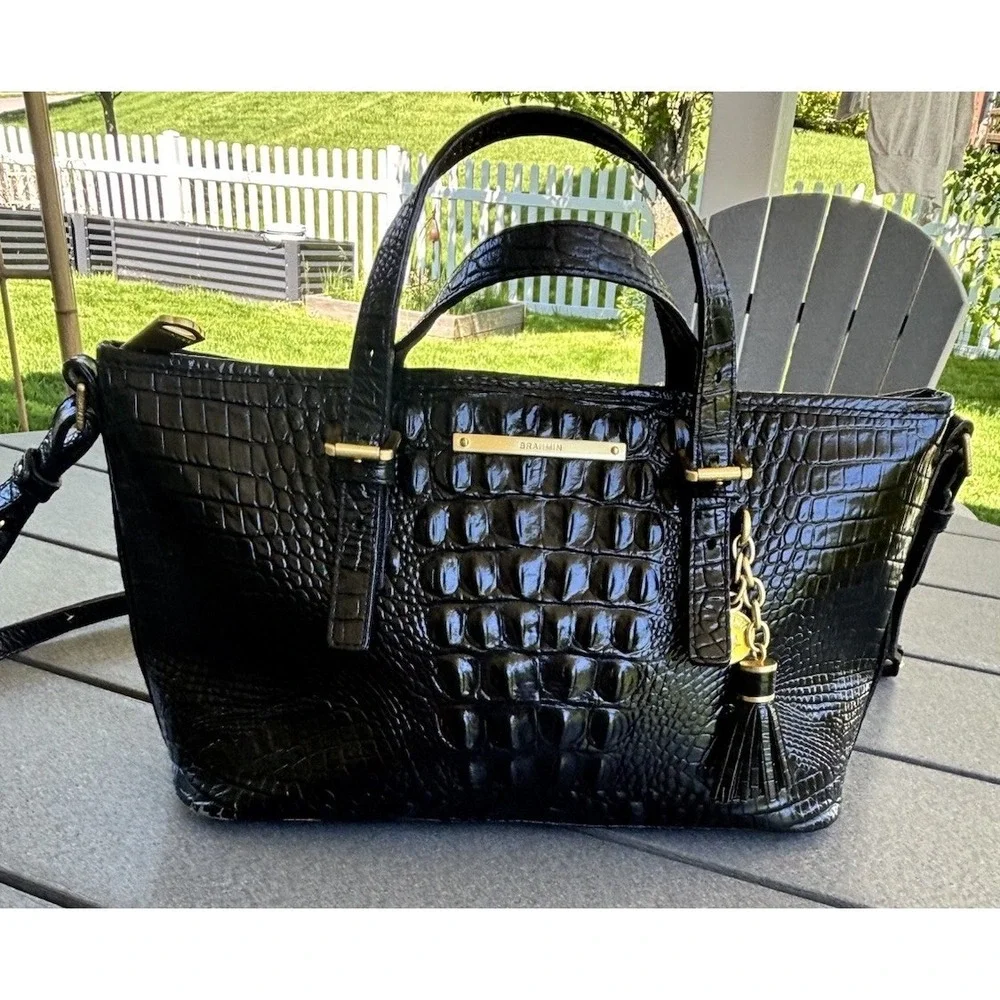 Brahmin mini asher
